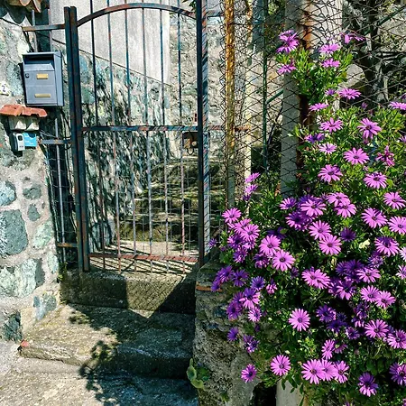 Daire Il Nido Sullo Scoglio