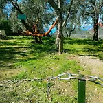 Il Nido Sullo Scoglio