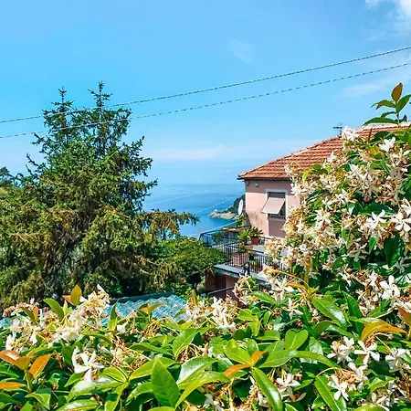 Il Nido Sullo Scoglio *