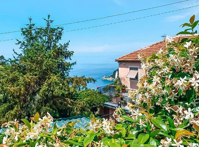 Il Nido Sullo Scoglio *